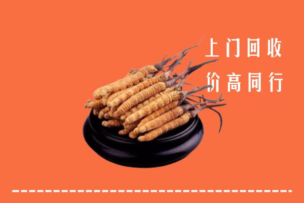 高价求购：唐山路南回收散虫草