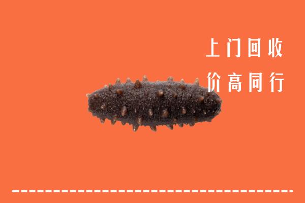 高价求购：唐山路南回收海参