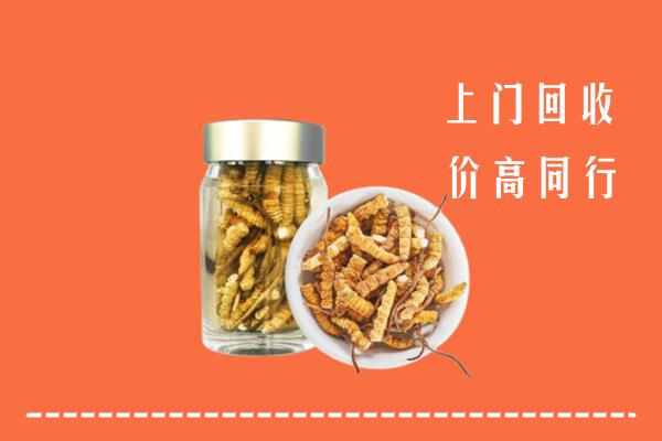 唐山路南高价回收冬虫夏草