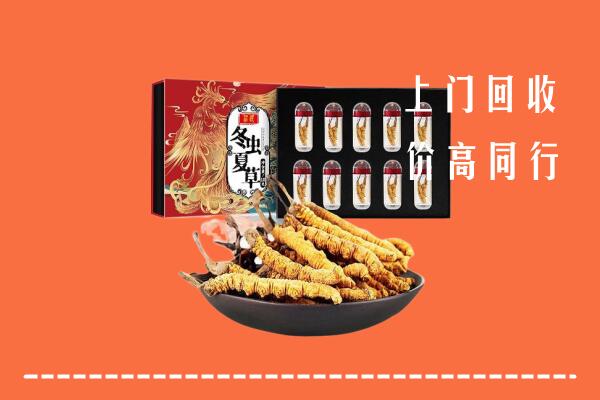 收购行情：唐山路南回收虫草